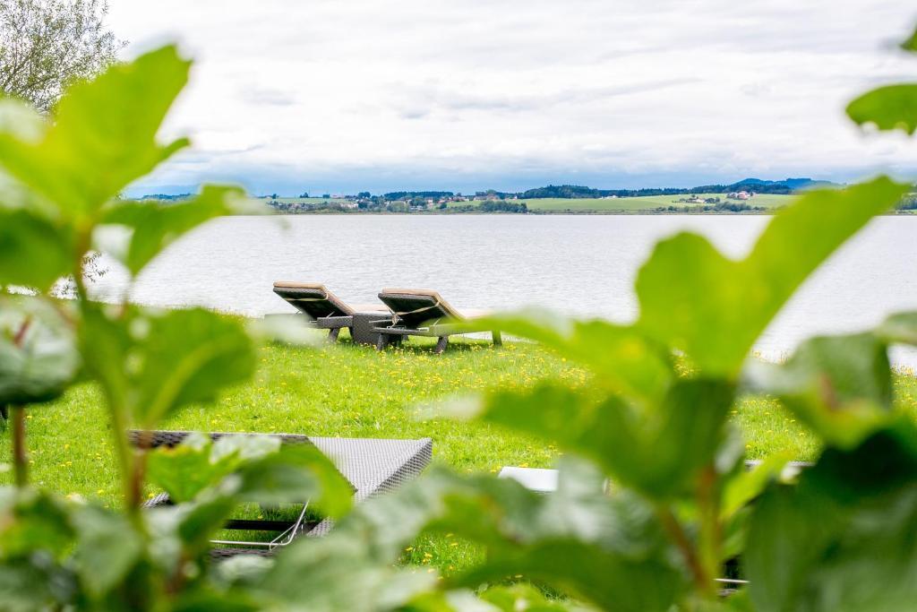 Hotel Seebrunn Am Wallersee Хенндорф-ам-Валлерзее Экстерьер фото