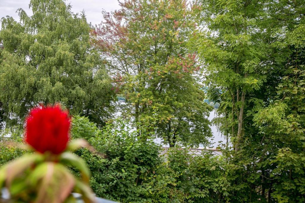 Hotel Seebrunn Am Wallersee Хенндорф-ам-Валлерзее Экстерьер фото